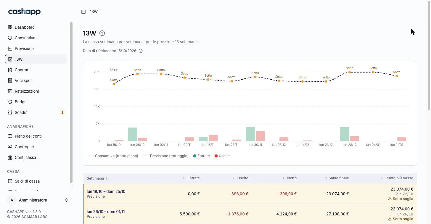 13-week cash flow. Expected balance, income and expenses for each week.